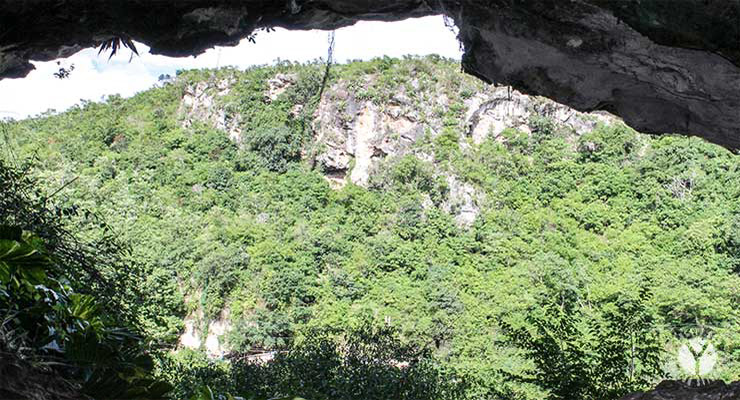 Vista desde la Cueva del Indio en las márgenes del río Yumurí, Matanzas, Cuba.