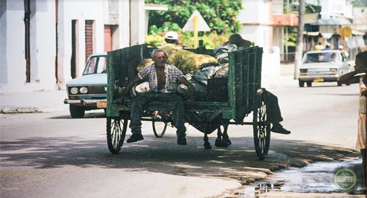 Carbonero en su carretón por la Calzada de San Luis, Matanzas, Cuba.