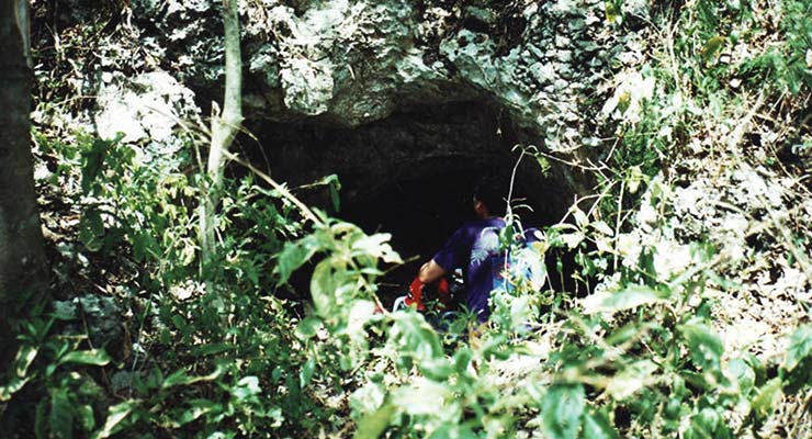 Entrada a la Cueva El Grillete, en las cercanías de Limonar.