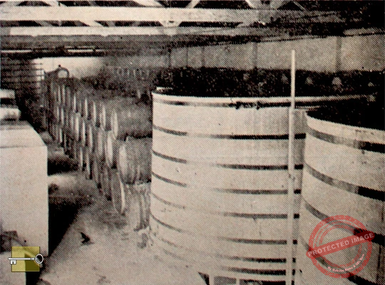 Compañía Licorera Matanzas, S. A. Vista parcial de un almacén de añejamiento de bebidas (Ca. 1942).