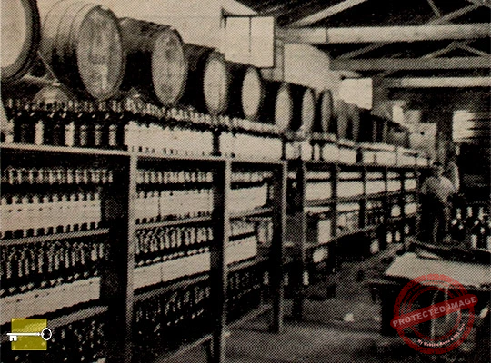 Compañía Licorera Matanzas, S. A. Vista parcial de uno de los almacenes (Ca. 1942).