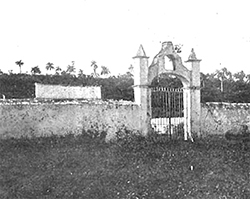 Cementerio de Ceiba-Mocha.
