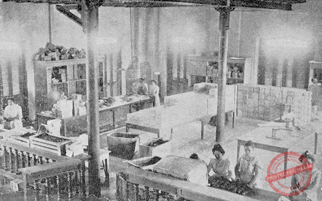 Empleadas de la Fábrica La Estrella trabajando en la confección de bombones (Ca. 1901).