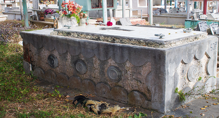 Gallo sacrificado ofrenda de religión afrocubana (Cementerio de Matanzas, 2018).
