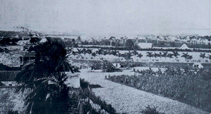 Vista general de la famosa vega de Hoyo de Monterrey en Pinar del Río (El Fígaro 1918).