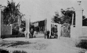 Entrada de la vega del Hoyo de Monterrey en Pinar del Río (El Fígaro 1918).