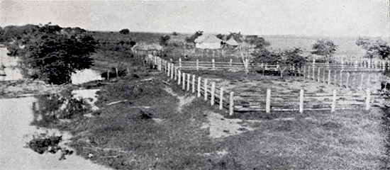 Vista de la hacienda La Punta a orillas del Cauto donde residía Estrada Palma con su familia y donde contrajo la enfermedad que le causó la muerte (El Fígaro, 1908).