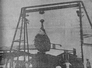 Trasbordador Romana de caña marca “Masiá” (Ca. 1918).