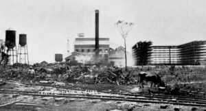 Vista del Central Manatí (Ca. 1915).