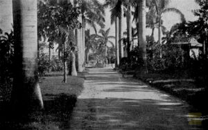 Parques de la Habana. Parque de Colón (Ca. 1910).