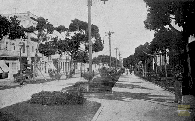 Parques de la Habana. Paseo de Martí (Ca. 1910).