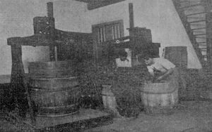 Vista de las prensas de tabaco de la Soto y Compañía en la Habana (Ca. 1918).