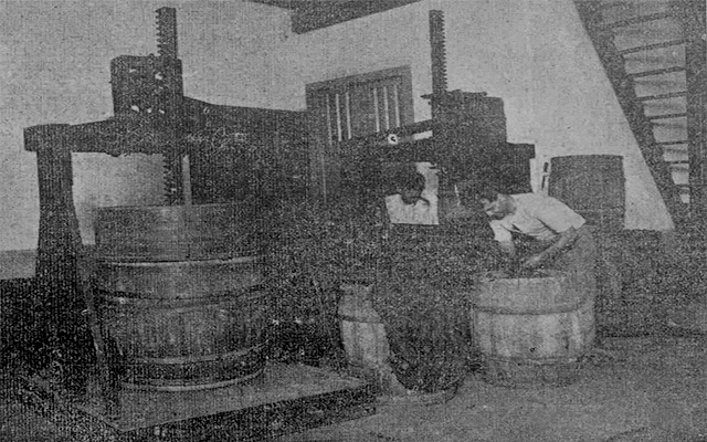 Vista de las prensas de tabaco de la Soto y Compañía en la Habana (Ca. 1918).