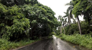 Arroyo la Vieja punto donde ocurrió el secuestro de Juan Bautista Cañizo en la carretera de Cidra a Matanzas.