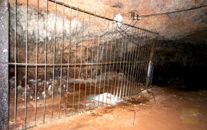 Vista del Salón de las Rejas en la Cueva de Bellamar (Ca. 2023).