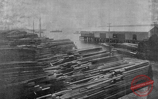 Vista de los muelles y la madera almacenada del señor Emilio Gómez (Ca. 1918).