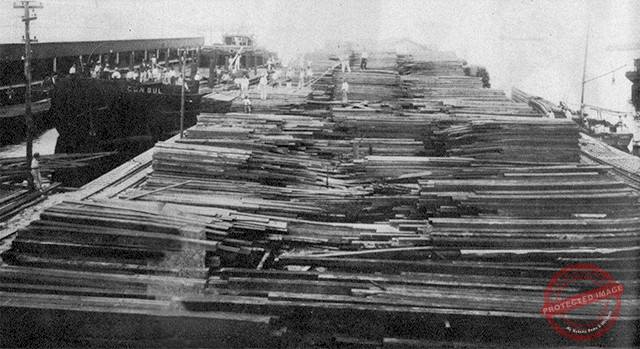 Vista parcial de los muelles propiedad de la Compañía de Maderas de Caibarién S. A. (Ca. 1935).