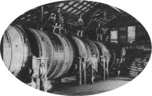 Fábrica de curtidos de Felipe Tellechea - Departamento de Batanes para curtir.