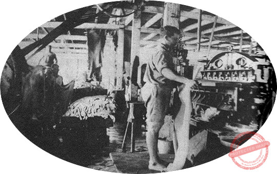 Fábrica de curtidos de Felipe Tellechea - Labradero y departamento de máquinas de dividir.