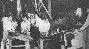 La Primera Tenería en Surgidero de Batabanó. Departamento para planchar pieles y máquinas especiales para lustrarlas.