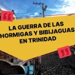 Tradiciones Trinitarias: La guerra de las hormigas y bibijaguas por Emilio Sánchez.