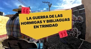 Tradiciones Trinitarias: La guerra de las hormigas y bibijaguas por Emilio Sánchez.