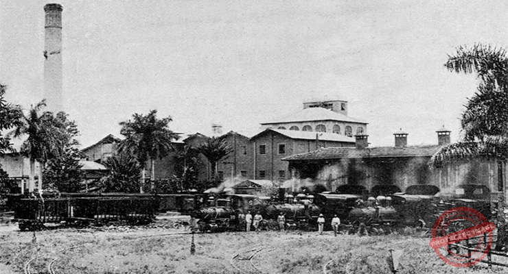 Central Hormiguero. Locomotoras para el transporte de caña, leña y sacos de azúcar (Ca. 1915).