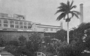 Central Hormiguero. Aspecto del batey (Ca. 1919).