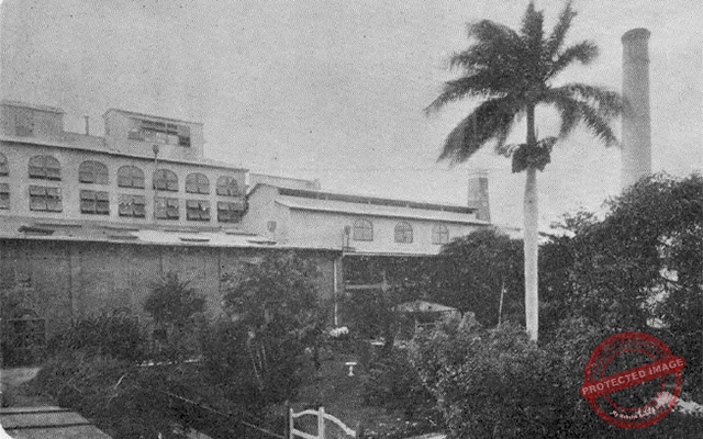 Central Hormiguero. Aspecto del batey (Ca. 1919).