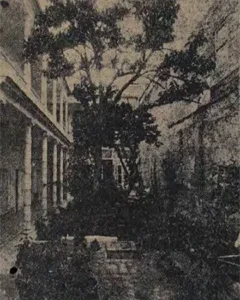 Vista del jardín de la residencia de Nicolás Castaño en Cienfuegos. (Ca. 1926).