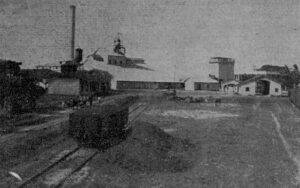 Central Santa María (Efraín Alfonso). Acarreando el bagazo (Ca. 1918).