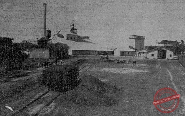 Central Santa María (Efraín Alfonso). Acarreando el bagazo (Ca. 1918).