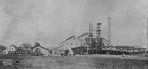 Central Santa Amalia. Vista lateral del Ingenio (Ca. 1918).