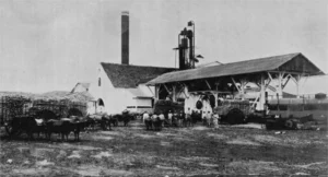 Central Santa Amalia. Vista del Ingenio cuando era propiedad de Laurentino García (Ca. 1914).