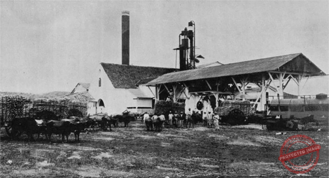 Central Santa Amalia. Vista del Ingenio cuando era propiedad de Laurentino García (Ca. 1914).