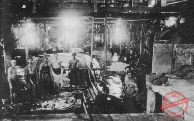 Departamento de curtidos al cromo de la fábrica de Sánchez, Sesin y Cía. (Ca. 1935).