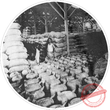 Reguera, Brooks, Bernard y Cía., S. en C. Vista interior de los grandes almacenes de depósito de sal ca. 1935.