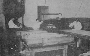 Departamento de corte y obreros textiles en El Palacio de los Bueyes, Habana ca. 1918.
