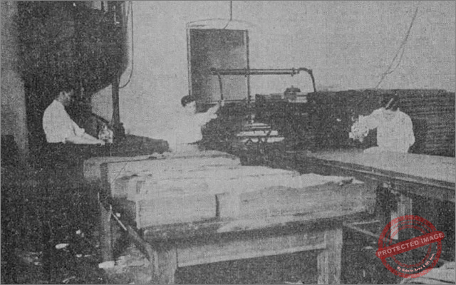 Departamento de corte y obreros textiles en El Palacio de los Bueyes, Habana ca. 1918.