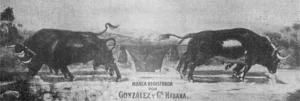 El pantalón con bueyes una marca registrada de Alejo González Pereda en la Habana ca. 1918.