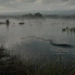 Laguna de Hoyuelos con aves acuáticas y una sombra oscura sobre el agua, evocando la leyenda sagüera de la Madre de Agua.