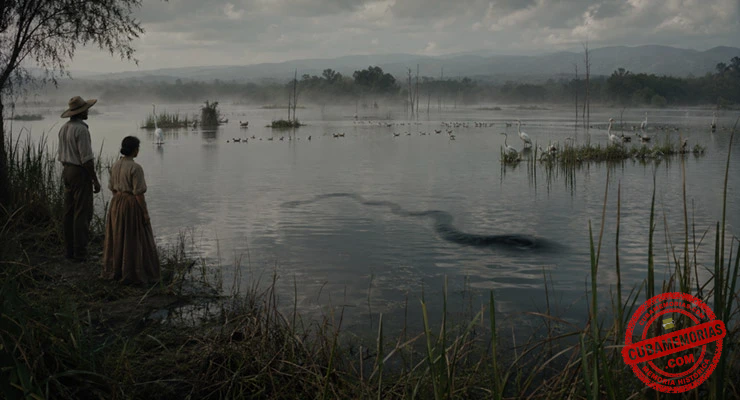 Laguna de Hoyuelos con aves acuáticas y una sombra oscura sobre el agua, evocando la leyenda sagüera de la Madre de Agua.