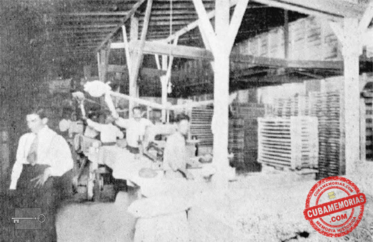 Aspecto de uno de los talleres de la fábrica de mosaicos La Rosita, en El Vedado, ca. 1922.