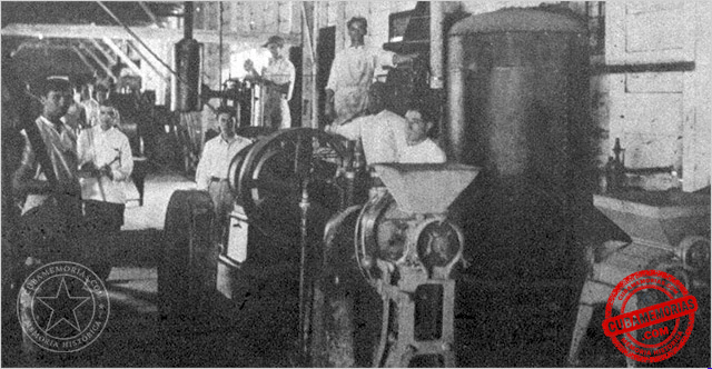 Interior de la fábrica de embutidos de Cosío y Hermano en Camajuaní, ca. 1929.