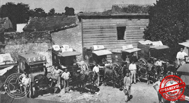 Carros de reparto de La Central Molinera preparados para distribuir sus productos en La Habana y sus alrededores, 1930.